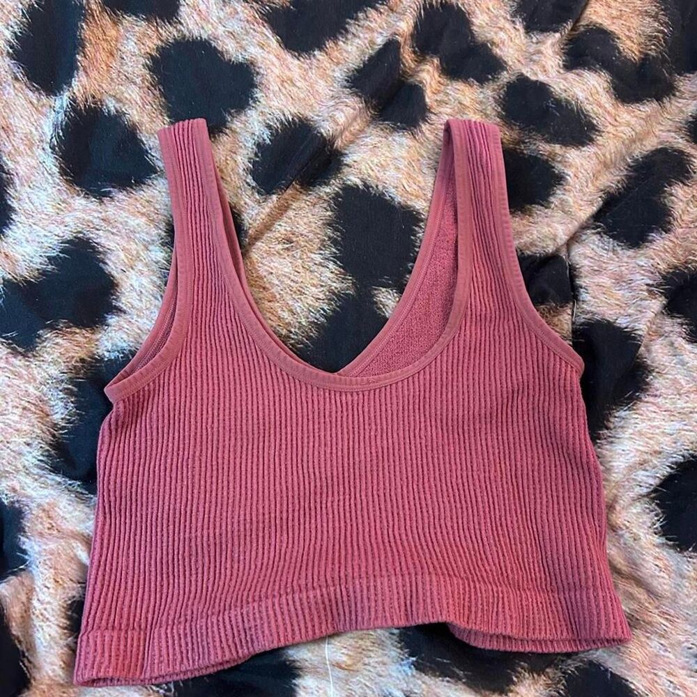 Free-people Women's Pink and Burgundy Crop-top